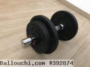 deux Kit haltère 10Kg(2x10kg) + 4 plates 5kg(4x5kg)