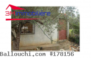Ferme Menzel Temime  231/16