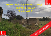 Terrain agricole tazarka 3m718