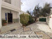 Villa Hammamet Nord 3M541