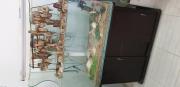 aquarium avec tout accessoires