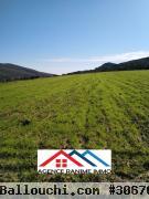 Terrain de 2476m2 a entoure el haouaria 8045