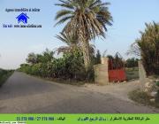 سانية للبيع بالقيروان السبيخة عين بومرة