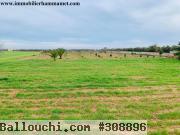 Terrain Agricole Marwen 10000 m² à Sidi Mtir