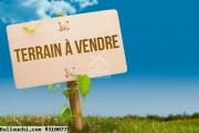 A vendre un terrain à korba Nabeul