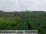 terrain agricole a wed 5atef kelibia