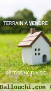 terrain jardin de carthage