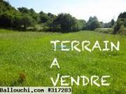 Terrain EL FELL (Réf: T1435)