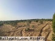 Ferme Lara T952 Hammamet