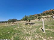 Terrain KINZA (Réf: T1433)