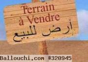 اراضي مقسمة للبيع
