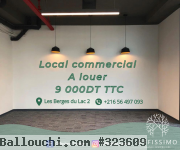 Local commercial sur avenue tres dynamique
