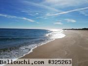 seulement 8500 a hammamet