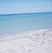 A VENDRE  TERRAIN A Hammam Ghezaz KELIBIA