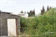Vente beau terrain à Chotrana1