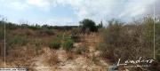 un beau terrain a vendre