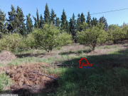 Nabeul Korba : un terrain agricole clôturé de 4hectares