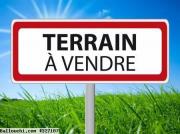 Nabeul Beni Khiar : un terrain agricole à vendre de 7000m² sur la grande route