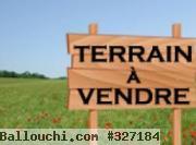 à vendre un terrain de 9,60 Hectares à Tozeur