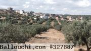 terrain a vendre