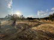 terrain a vendre