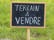 Goubet Lagha,un terrain non planté sur le goudronnée
