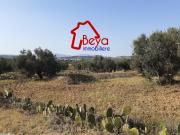 hammamet , douikhla , 12000m² sur une colline a 170mdt