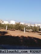 terrain habitable à yasmine hammamet