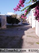 un terrain à Hammamet avec un prix imbattable