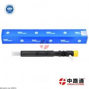 Injecteur renault megane 1.5 dci prix EJBR03301D Injecteurs clio 3