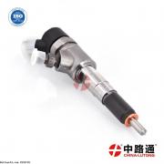 Injecteur xsara picasso 2.0 hdi 0 445 110 484 Injecteurs hyundai santa