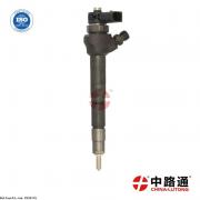 injecteur citroen 1.6 hdi 0 445 110 443 injecteur citroen jumpy 2.0 hdi