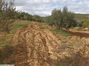 terrain agricole à vendre