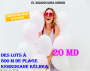 Terrain a vendre à kerkouane  kélibia 29711072