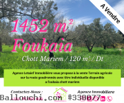Réf 248 TA : Terrain du 1452 m² sur la route goudronnée a Foukaia
