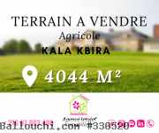 Réf 250 Terrain du 4044 m² a Kala el Kbira