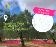 Réf 252 Terrain du 4248 m² a Kala kbira