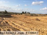 Vente terrain agricolee