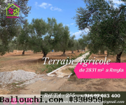 un Terrain d'une superficie = 2831 m²  situé à  Rmyla Chott mariem