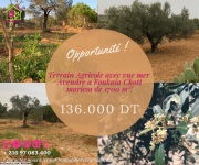 Un Terrain Agricole Avec Vue Mer a Vendre a Foukaia Chott Mariem de 1700 M² 