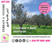 un Terrain d'une superficie = 2500 m²  situé à  Foukaia  Chott mariem 