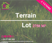 Un terrain du 2750 m² a Hotmain Kala kbira