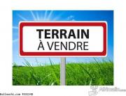 vente terrain à kerkouan