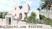 A vendre villa prestigieuse zone touristique