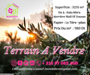 Réf 261 Terrain du 3235 m² a kala kbira