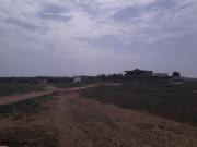 Terrain de 287 m2 a 66 000 d