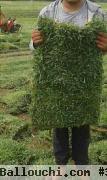 21226774 vente et posez gazon naturelle decoration jardin