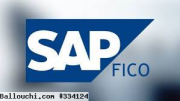 Formation pratique en pratique SAP FICO