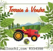 Terrain TAG134 BIZERTE :