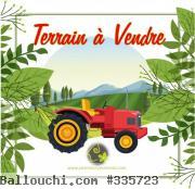 Terrain Agricole TAG238 Mateur :